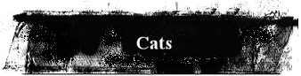 Cats